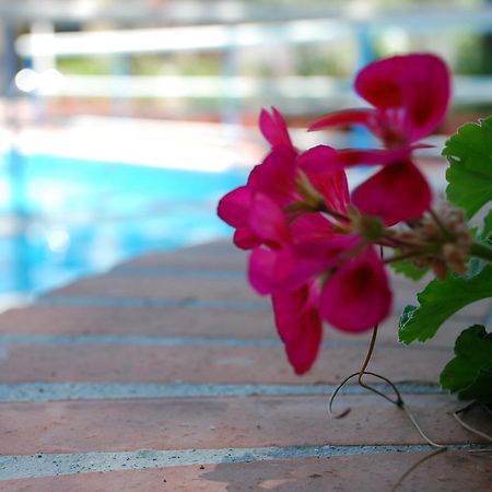 Hotel La Villa Містерб'янко Екстер'єр фото